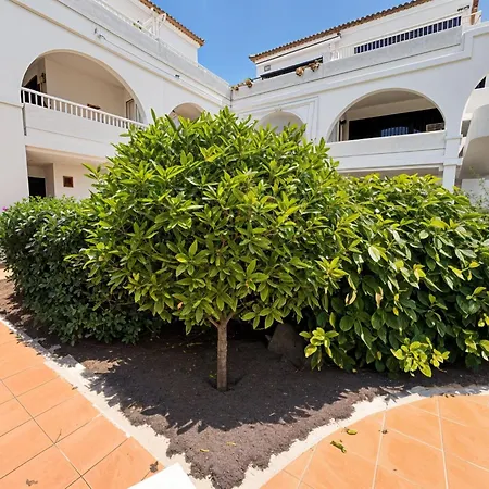 Appartement Amarilla Golf Scorpio