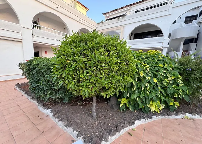 Apartment Amarilla Golf Scorpio *